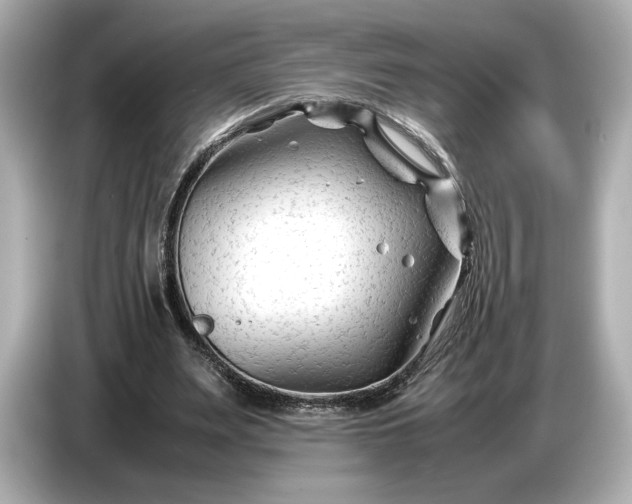 X0000086960487200704301240