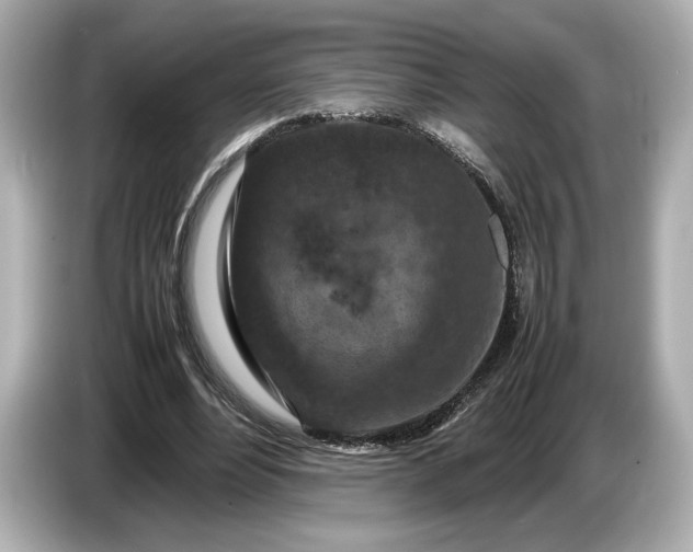 X0000086960488200704301240