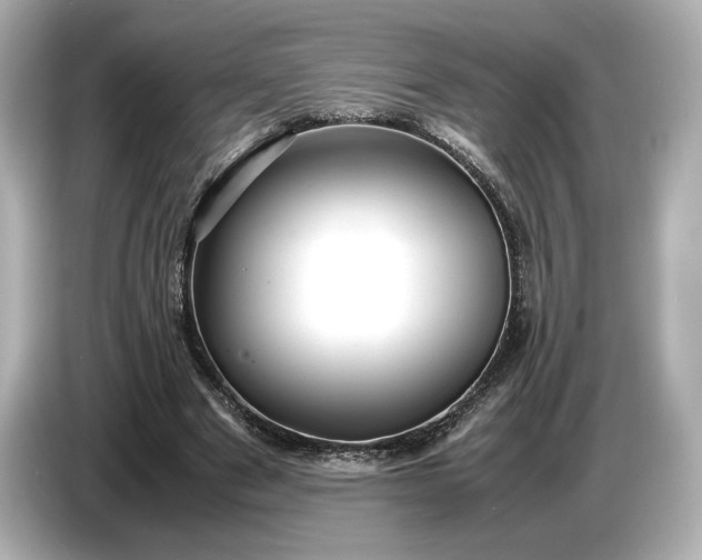 X0000086960489200704301240