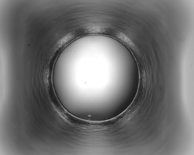 X0000086960490200704301240