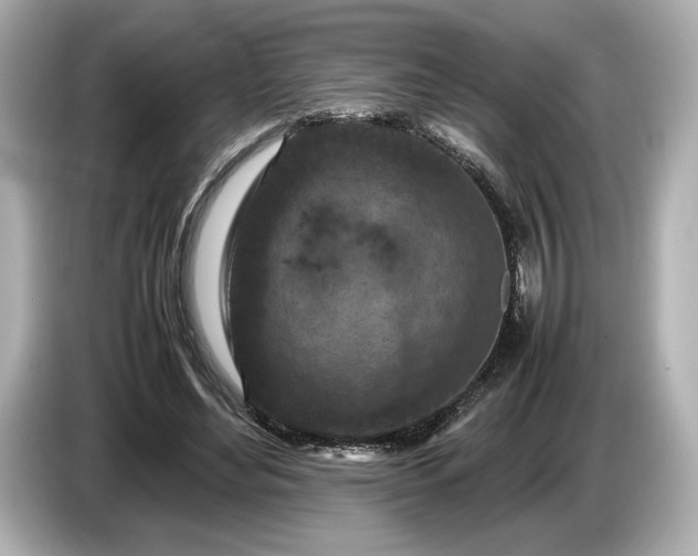 X0000086960492200704301240