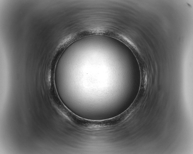 X0000086960494200704301240