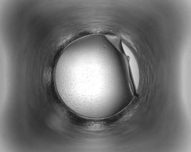 X0000086960495200704301240