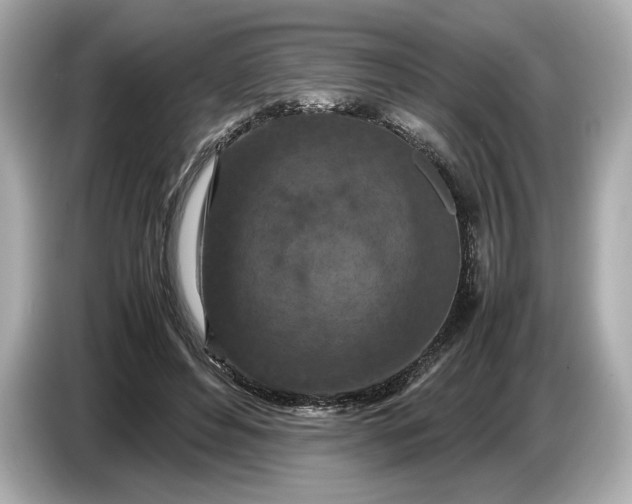 X0000086960496200704301240
