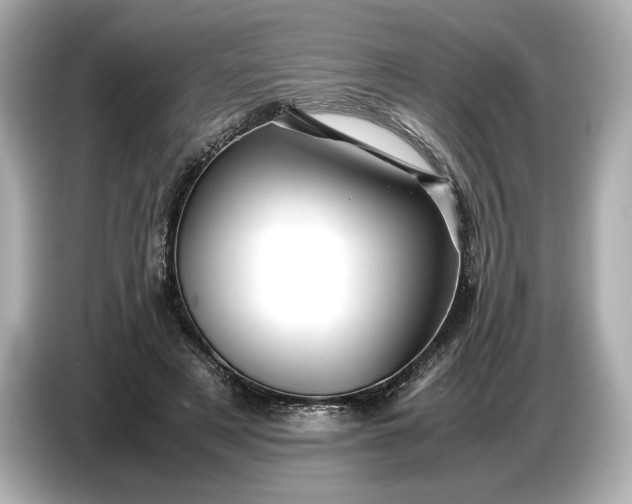 X0000086960497200704301240