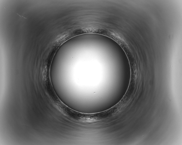 X0000086960498200704301240