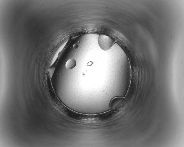 X0000086960499200704301240