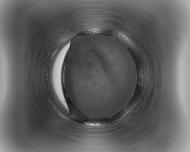 X0000086960500200704301240