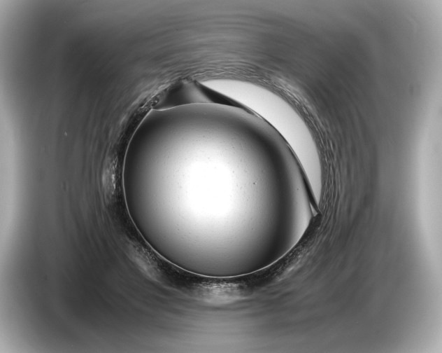 X0000086960501200704301240