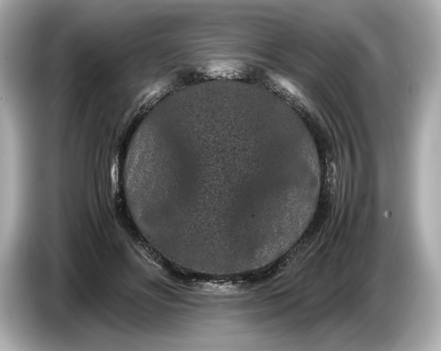 X0000086960502200704301240
