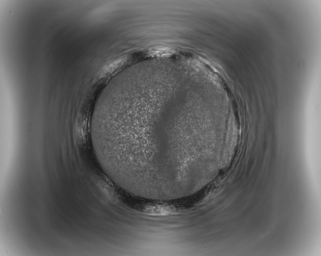 X0000086960503200704301240