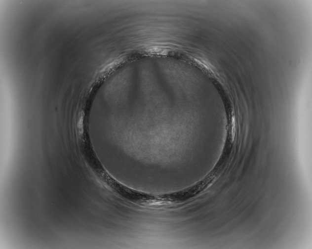 X0000086960504200704301240