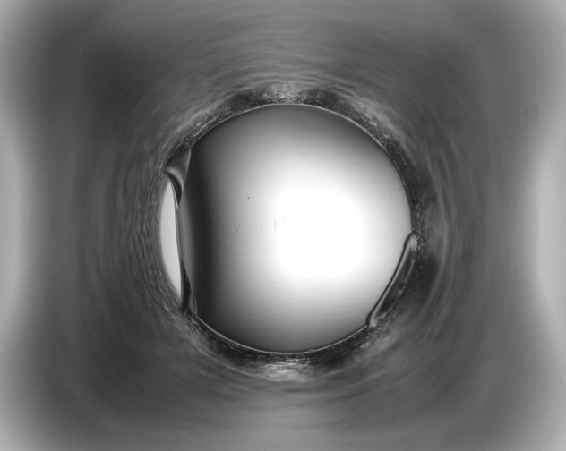 X0000086960505200704301240