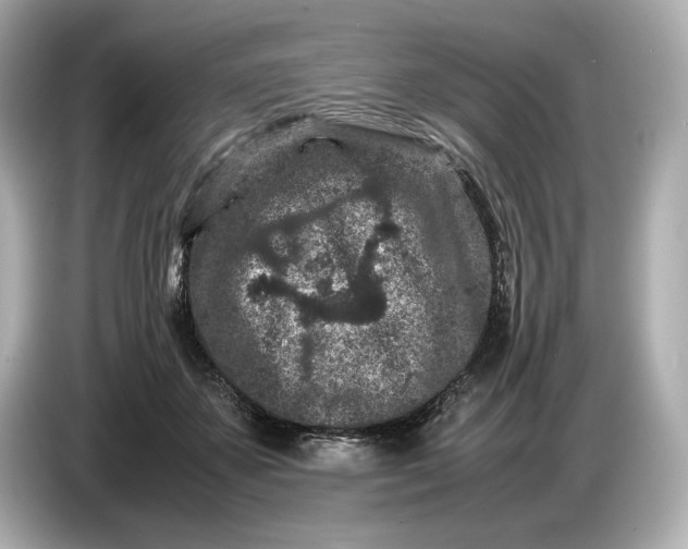 X0000086960507200704301240