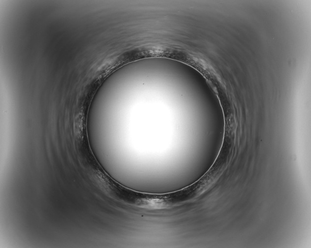 X0000086960509200704301240