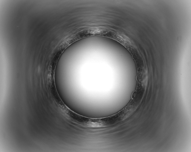 X0000086960510200704301240