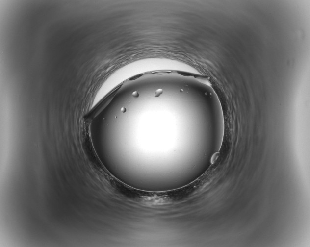 X0000086960511200704301240