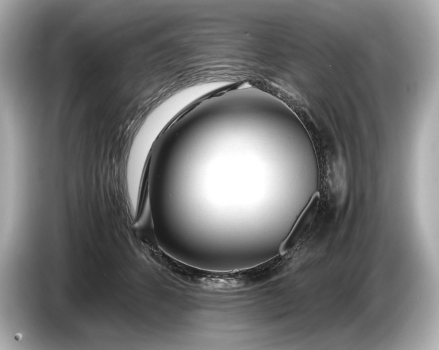 X0000086960512200704301240