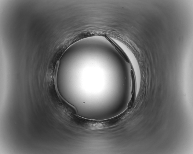 X0000086960513200704301240