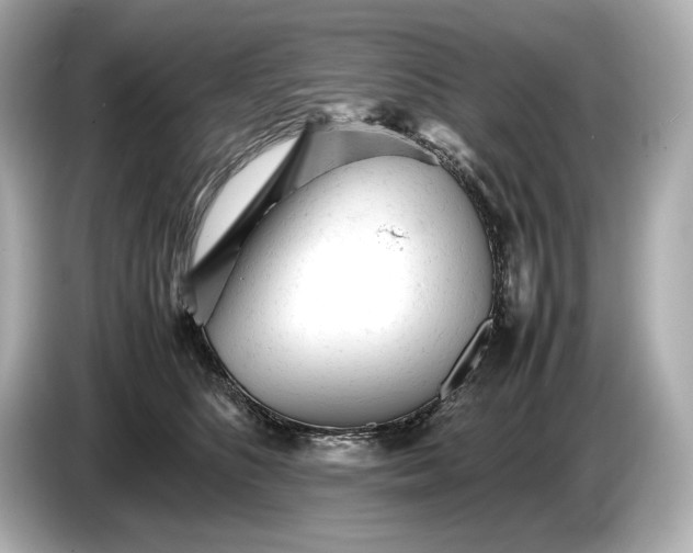 X0000086960516200704301240