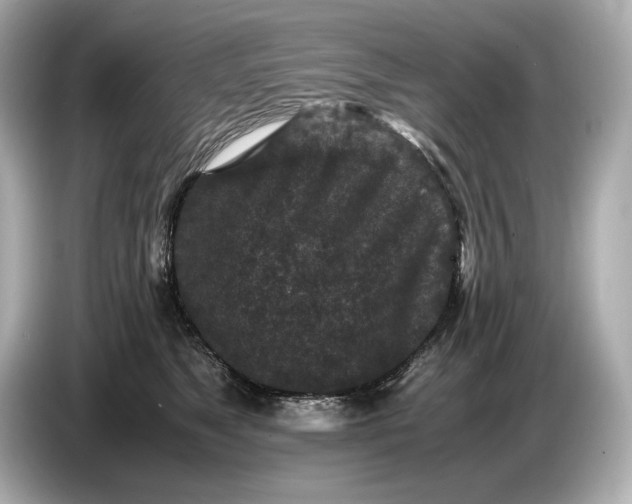 X0000086960517200704301240