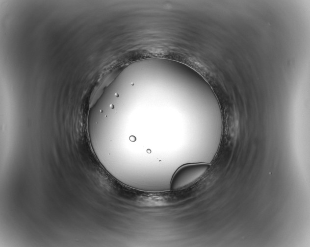 X0000086960518200704301240