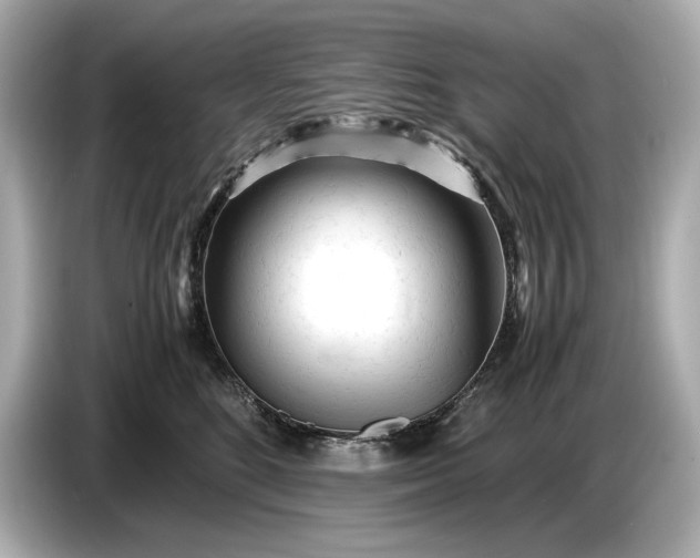 X0000086960520200704301240