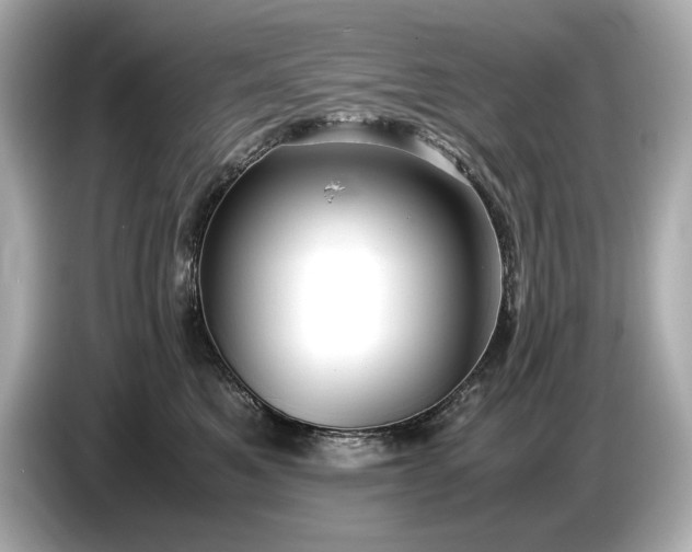 X0000086960521200704301240