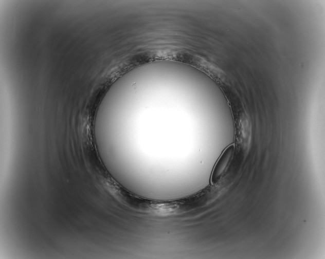 X0000086960522200704301240