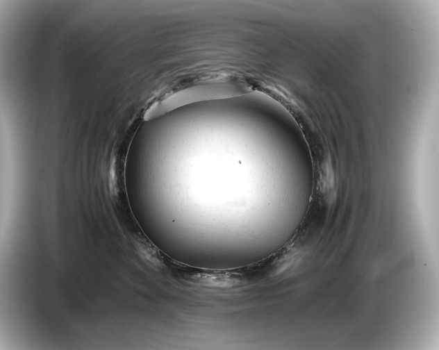 X0000086960524200704301240