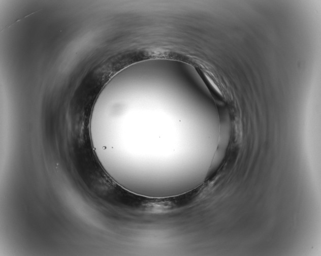X0000086960525200704301240