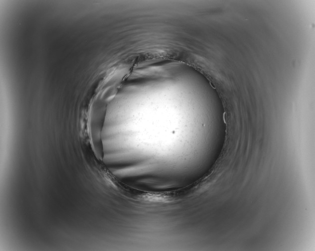 X0000086960528200704301240