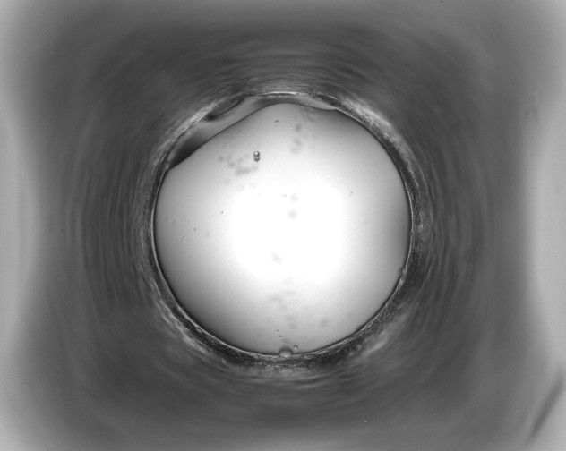 X0000086960529200704301239