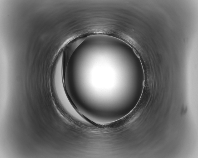 X0000086960530200704301239