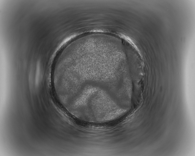 X0000086960531200704301239