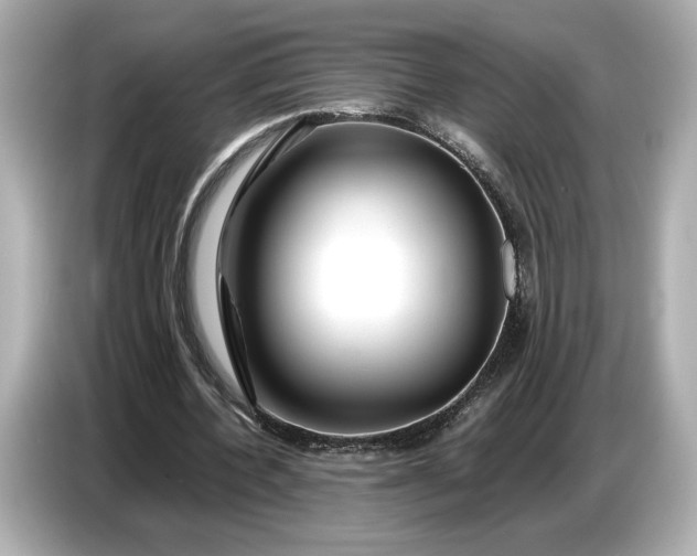 X0000086960532200704301239