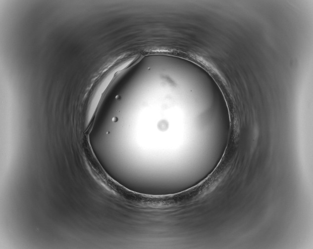 X0000086960533200704301239