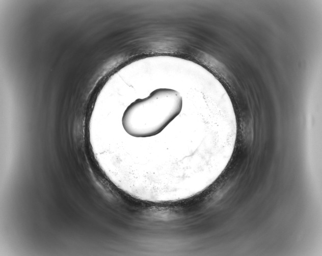 X0000086960534200704301239