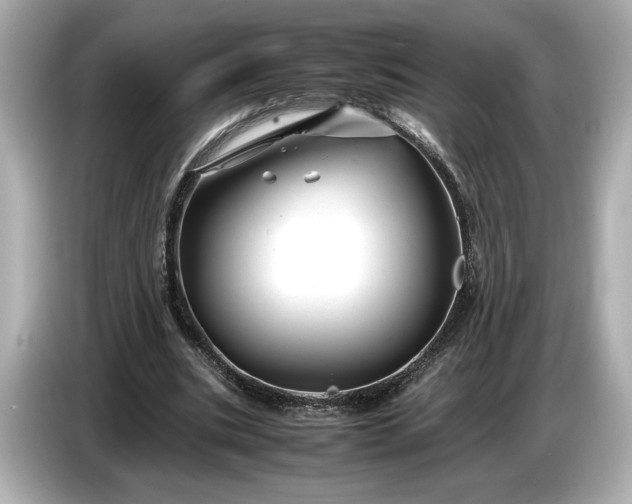 X0000086960535200704301239