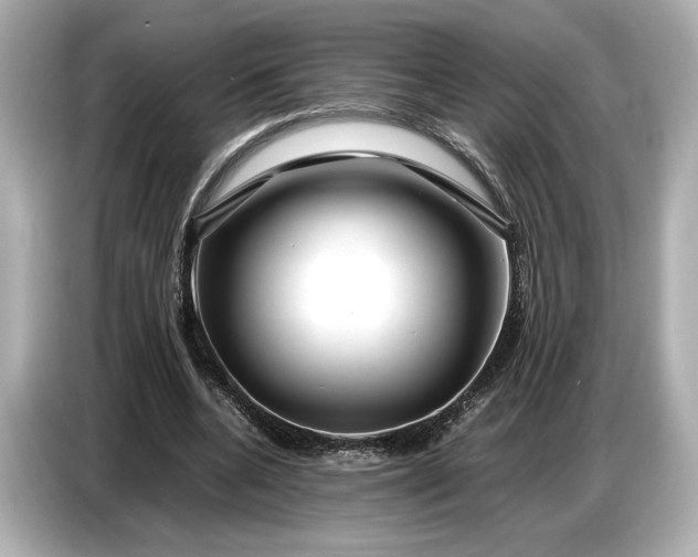 X0000086960536200704301239
