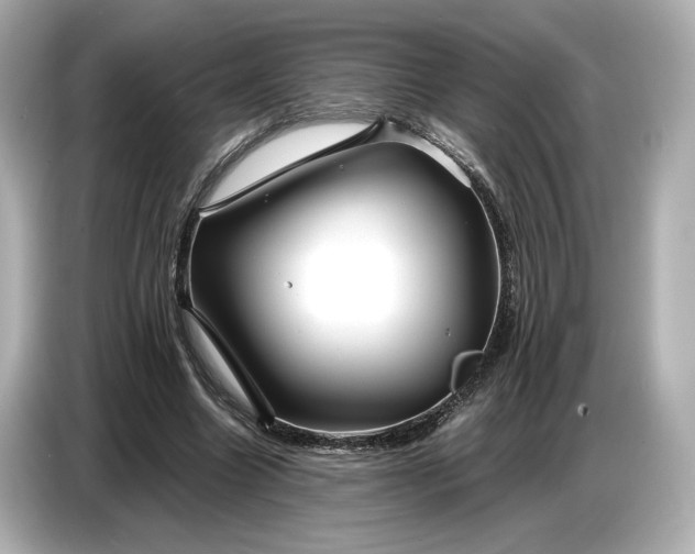 X0000086960538200704301239