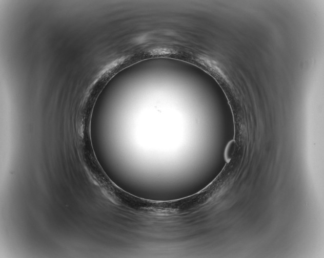 X0000086960539200704301239