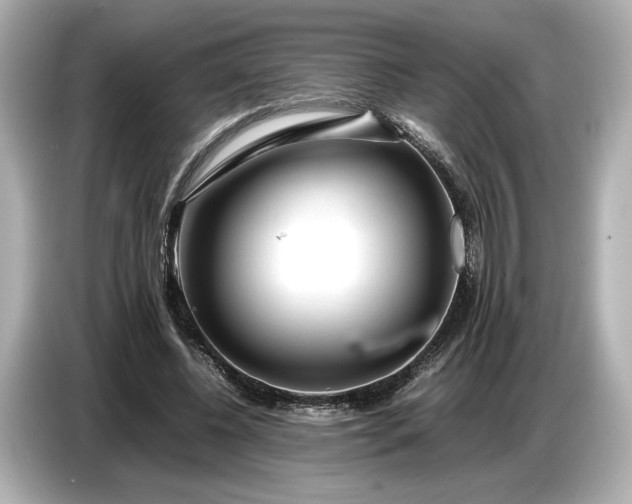 X0000086960540200704301239