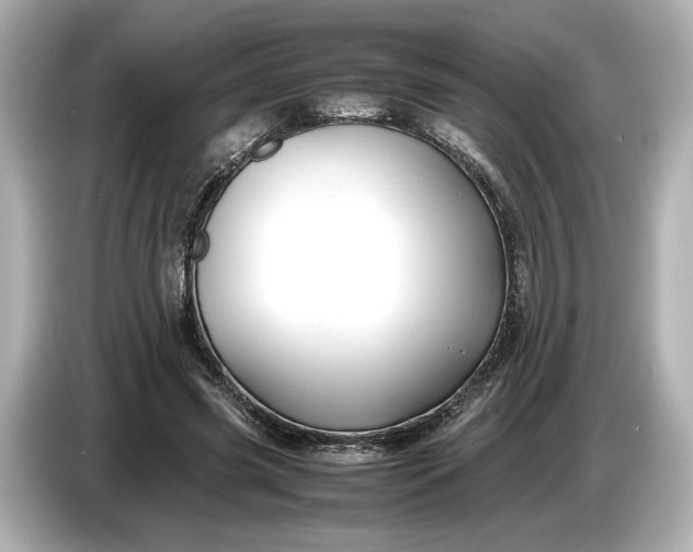 X0000086960541200704301239