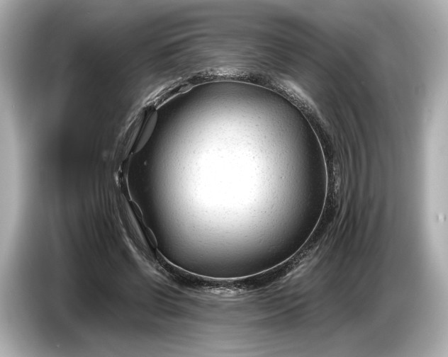 X0000086960542200704301239