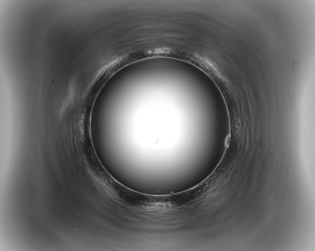 X0000086960543200704301239