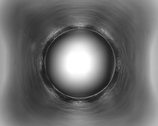 X0000086960544200704301239
