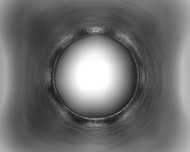 X0000086960545200704301239