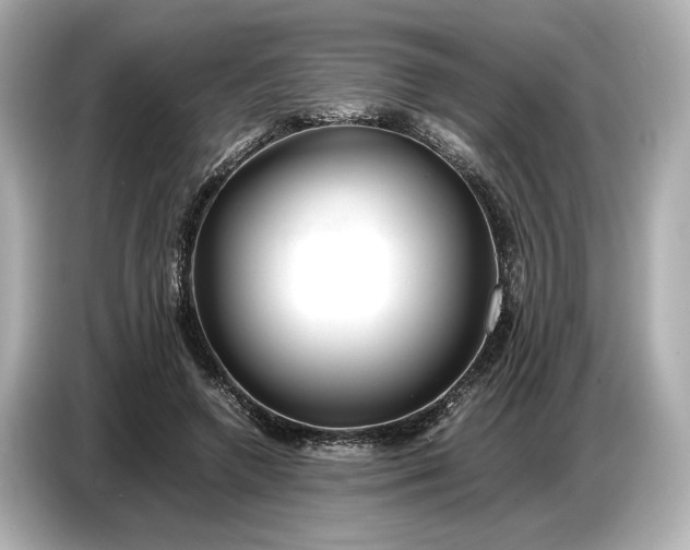 X0000086960546200704301239