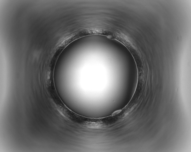 X0000086960548200704301240